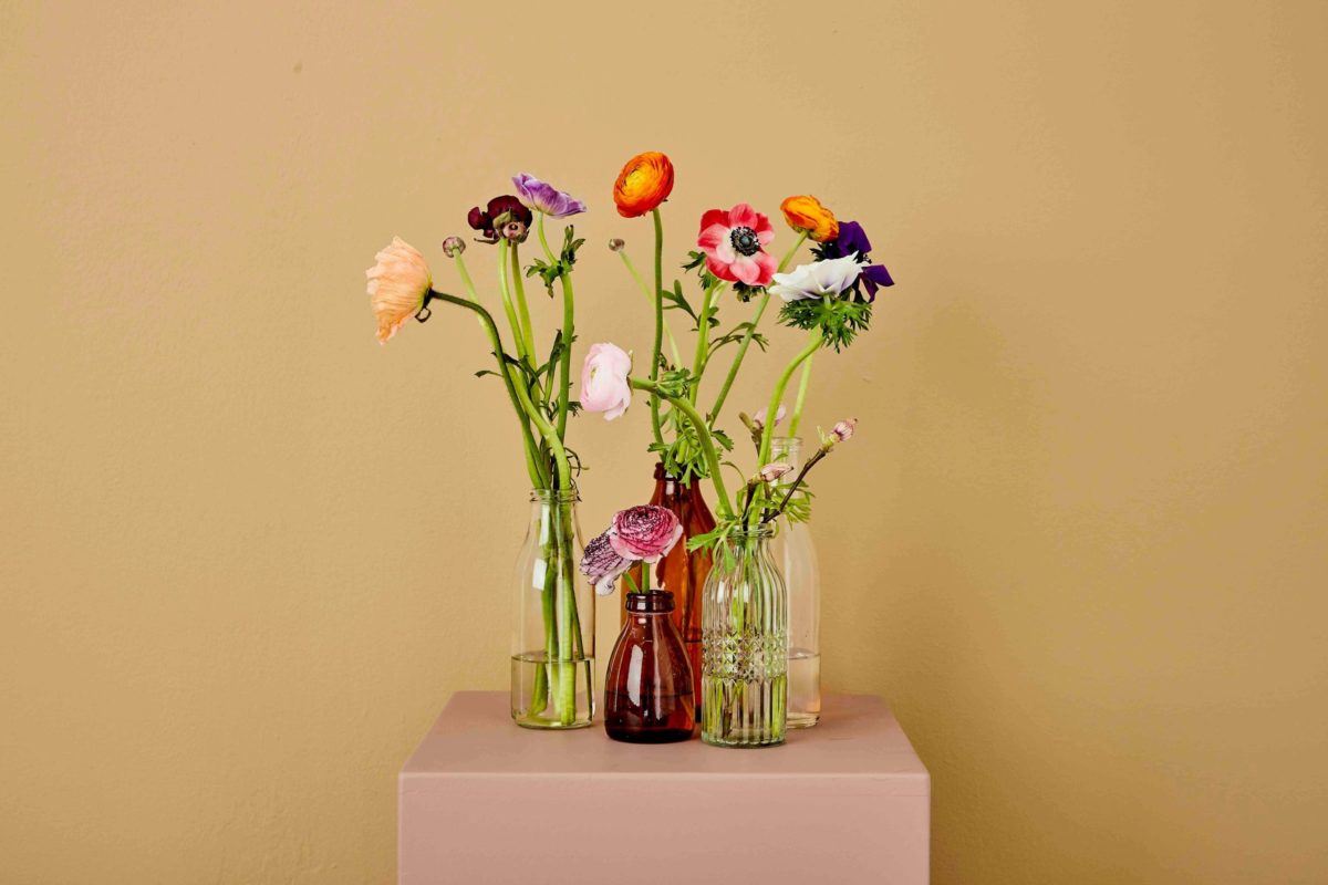 Store og små glasflasker til blomster i brun og klart glas