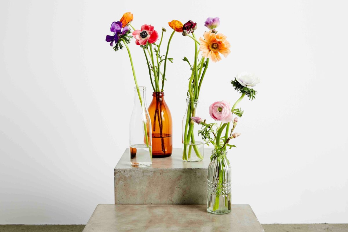 Små glasflasker til flere eller enkelt blomst 
