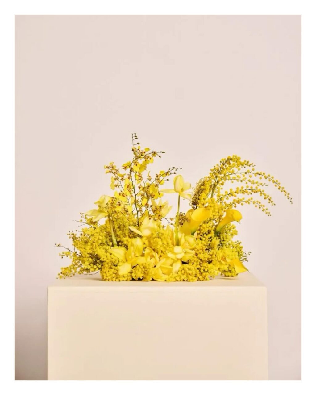 KONFIRMATION 2026
Lemon sunkiss 🍋

Følg linket i bio for mere ✨

<><><><><><><>
#konfirmation2026 #konfirmation #serviceudlejning #tablesetting #borddækning