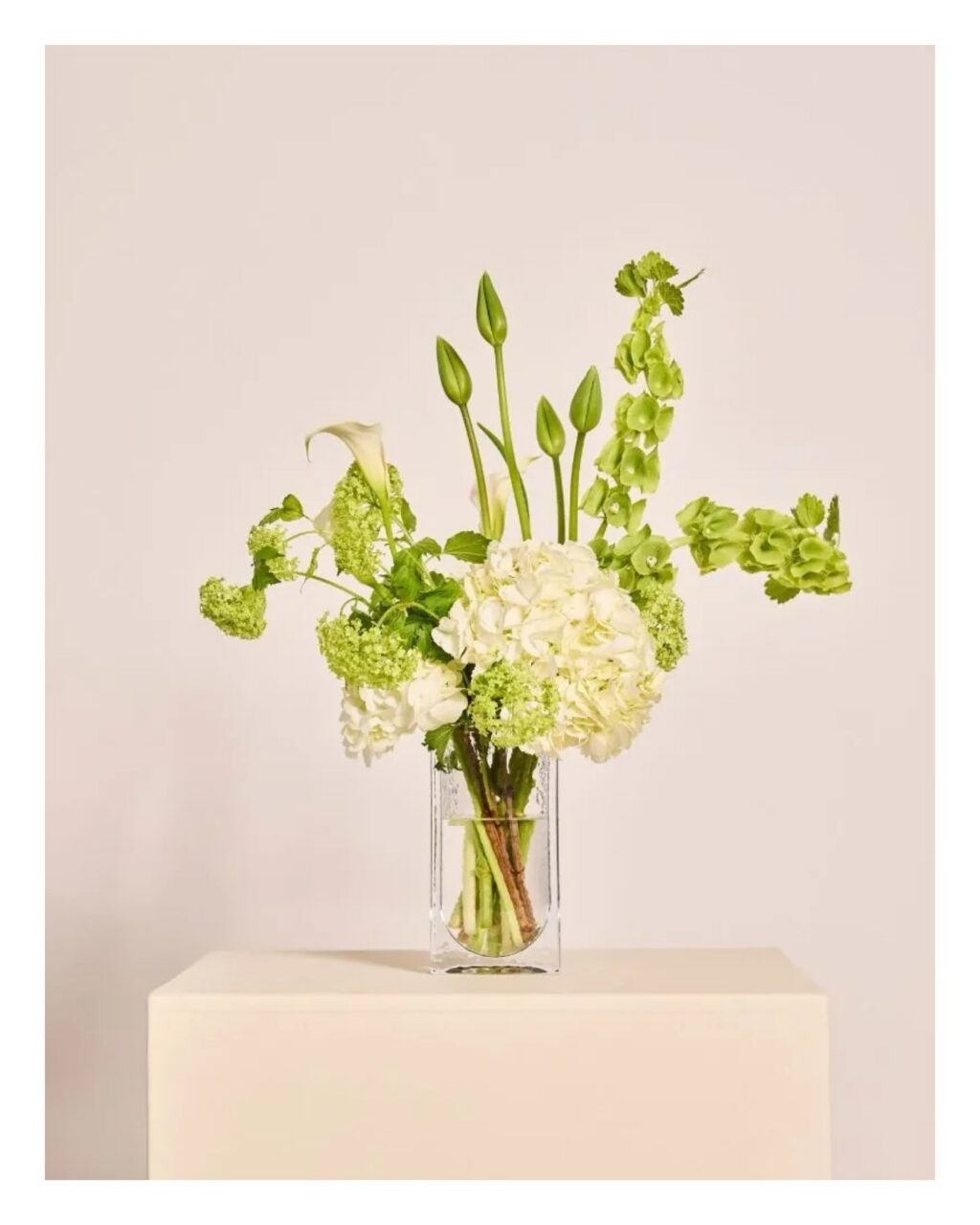 KONFIRMATION 2026
Elegance 🤍

Check link i bio for mere ✨

<><><><><><><>
#tablesetting #konfirmation #konfirmationsborddækning #konfirmation2026 #serviceudlejning